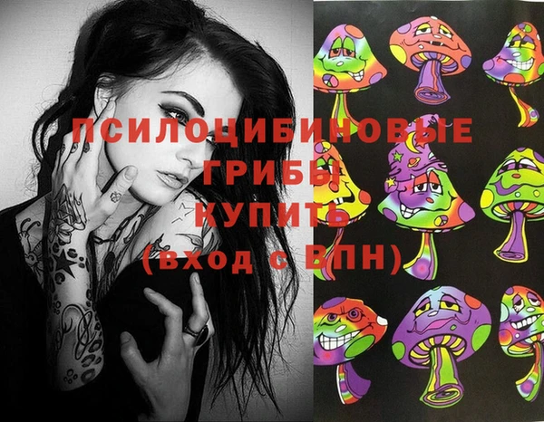 2c-b Няндома
