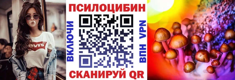 как найти закладки  Балашов  Галлюциногенные грибы Psilocybe 